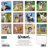 Llamas 2024 12" x 12" Wall Calendar