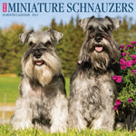 Just Miniature Schnauzers 2024 12" x 12" Wall Calendar