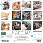 Naptime (Cats) 2024 12" x 12" Wall Calendar