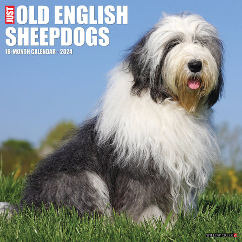 Just Old English Sheepdogs 2024 12" x 12" Wall Calendar