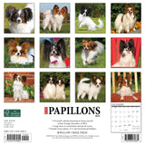 Just Papillons 2024 12" x 12" Wall Calendar