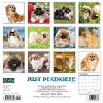 Just Pekingese 2024 12" x 12" Wall Calendar