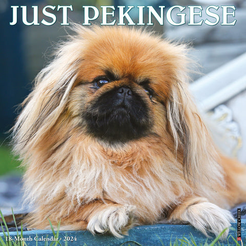 Just Pekingese 2024 12" x 12" Wall Calendar