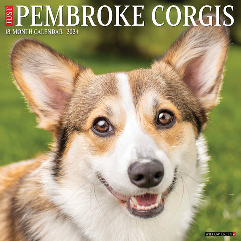 Just Pembroke Corgis 2024 12" x 12" Wall Calendar