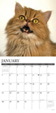 Just Persians 2024 12" x 12" Wall Calendar