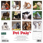 Pet Pals 2024 12" x 12" Wall Calendar