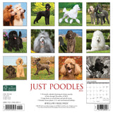 Just Poodles 2024 12" x 12" Wall Calendar