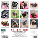 Pug Mugs 2024 12" x 12" Wall Calendar