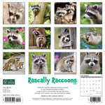 Rascally Raccoons 2024 12" x 12" Wall Calendar