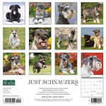 Just Schnauzers 2024 12" x 12" Wall Calendar