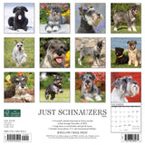 Just Schnauzers 2024 12" x 12" Wall Calendar