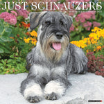 Just Schnauzers 2024 12" x 12" Wall Calendar