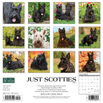 Just Scotties 2024 12" x 12" Wall Calendar