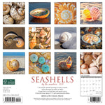 Seashells 2024 12" x 12" Wall Calendar