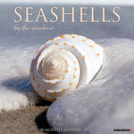Seashells 2024 12" x 12" Wall Calendar