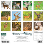 Seasons of the Whitetail 2024 12" x 12" Wall Calendar