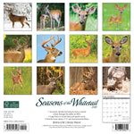 Seasons of the Whitetail 2024 12" x 12" Wall Calendar