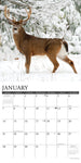 Seasons of the Whitetail 2024 12" x 12" Wall Calendar