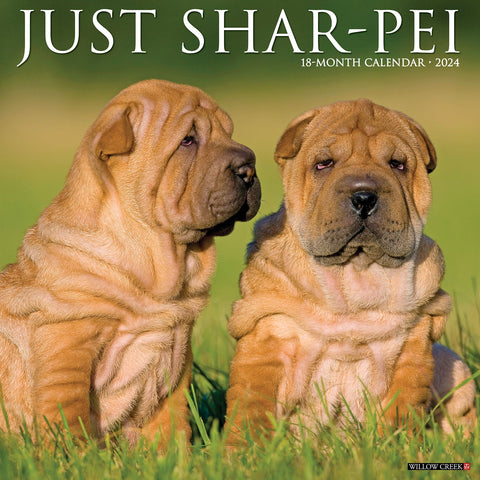 Just Shar-Peis 2024 12" x 12" Wall Calendar