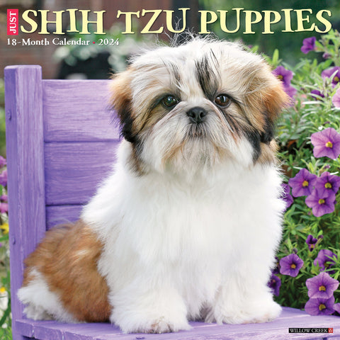 Just Shih Tzu Puppies 2024 12" x 12" Wall Calendar