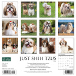 Just Shih Tzus 2024 12" x 12" Wall Calendar
