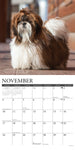 Just Shih Tzus 2024 12" x 12" Wall Calendar