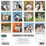Just Siberian Huskies 2024 12" x 12" Wall Calendar