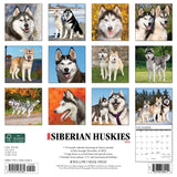 Just Siberian Huskies 2024 12" x 12" Wall Calendar