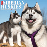 Just Siberian Huskies 2024 12" x 12" Wall Calendar
