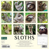 Sloths 2024 12" x 12" Wall Calendar