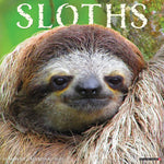 Sloths 2024 12" x 12" Wall Calendar