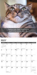 Snapcats 2024 12" x 12" Wall Calendar