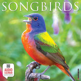 Songbirds 2024 12" x 12" Wall Calendar