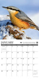 Songbirds 2024 12" x 12" Wall Calendar