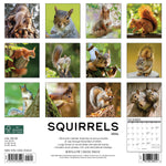 Squirrels 2024 12" x 12" Wall Calendar