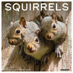 Squirrels 2024 12" x 12" Wall Calendar