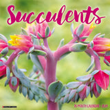 Succulents 2024 12" x 12" Wall Calendar