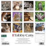 Just Tabby Cats 2024 12" x 12" Wall Calendar