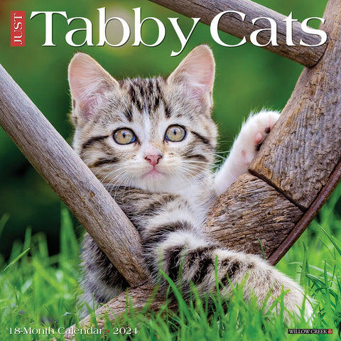 Just Tabby Cats 2024 12" x 12" Wall Calendar