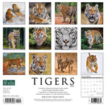 Tigers 2024 12" x 12" Wall Calendar