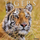 Tigers 2024 12" x 12" Wall Calendar