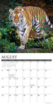 Tigers 2024 12" x 12" Wall Calendar