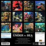 Under the Sea 2024 12" x 12" Wall Calendar