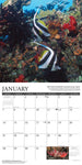 Under the Sea 2024 12" x 12" Wall Calendar