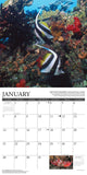 Under the Sea 2024 12" x 12" Wall Calendar