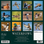 Waterfowl 2024 12" x 12" Wall Calendar