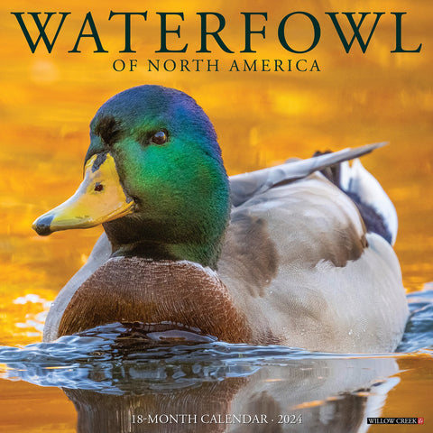 Waterfowl 2024 12" x 12" Wall Calendar