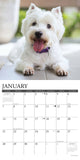 Just Westies 2024 12" x 12" Wall Calendar