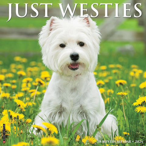 Just Westies 2024 12" x 12" Wall Calendar