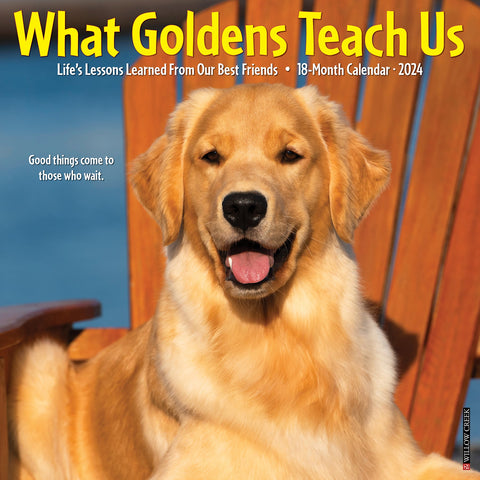 What Goldens Teach Us 2024 12" x 12" Wall Calendar